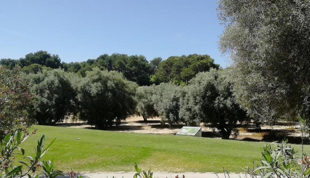 Casa Joleen 2 Villamartin  Esterno foto